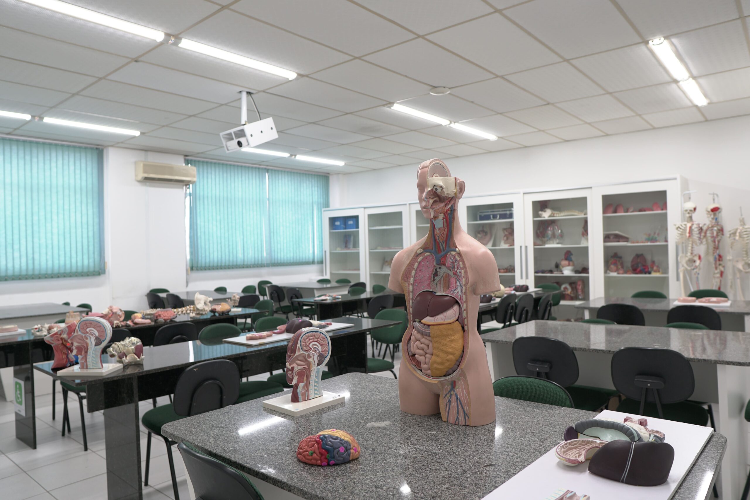 colegio_SALA DE ANATOMIA (1)-min